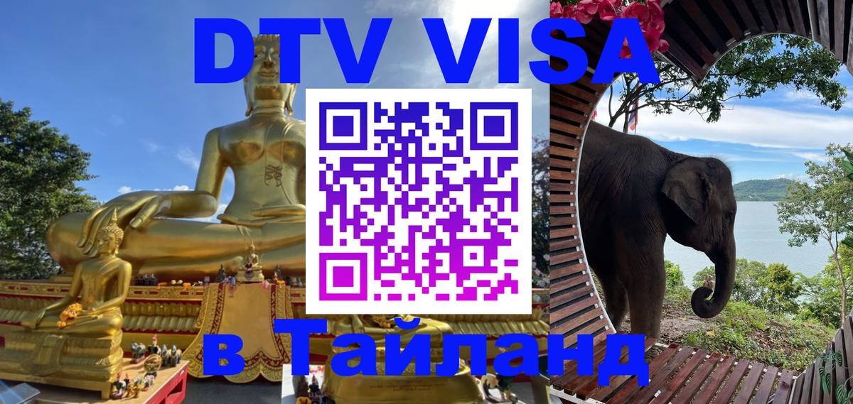 Оформление DTV визы под ключ: стоимость и тарифы, только загранпаспорт - Муром  20.11.2025 